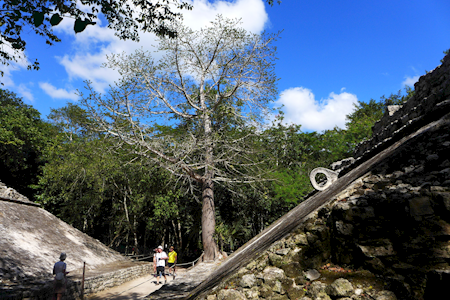 2015-01-07-11h23m07 2015-01-07-11h23m07