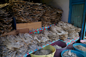 2015-01-19-11h28m49 2015-01-19-11h28m49