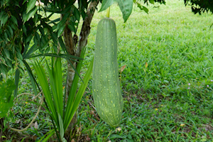 2015-01-25-15h27m41 2015-01-25-15h27m41