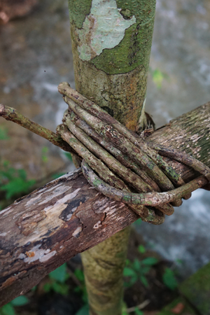 2015-01-28-15h22m42 2015-01-28-15h22m42