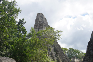 Tikal-3 Tikal-3