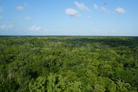 shipstern3 shipstern3