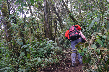 ataginango1 ataginango1