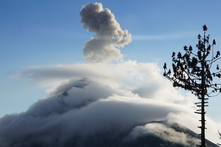 ataginango11 ataginango11