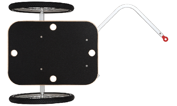 carry-freedom-1 carry-freedom-1