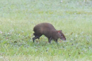 educatio-center educatio-center