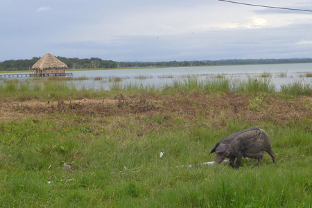 el-remate2 el-remate2