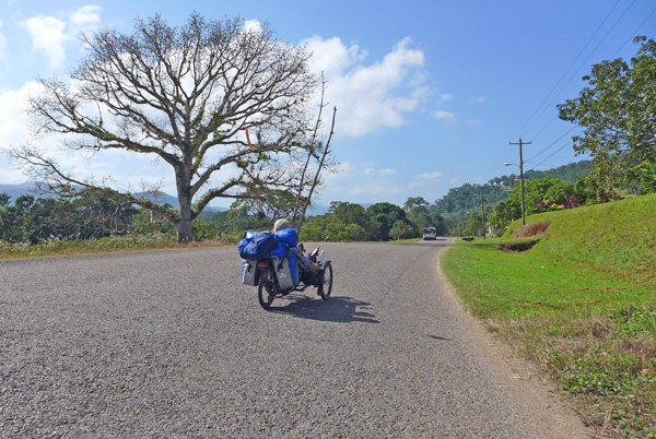 hummingbird9 hummingbird9