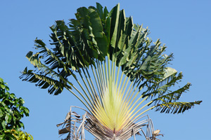 independens3 independens3