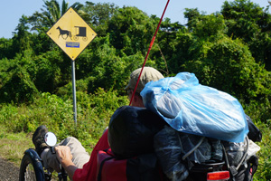 independens4 independens4