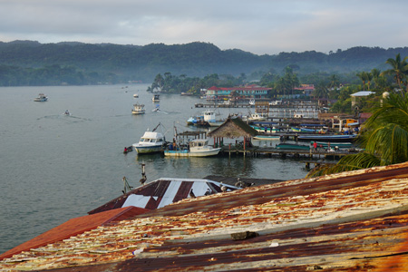 livingston4 livingston4