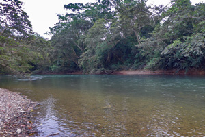 monkeybay3 monkeybay3