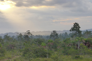 monkeybay7 monkeybay7