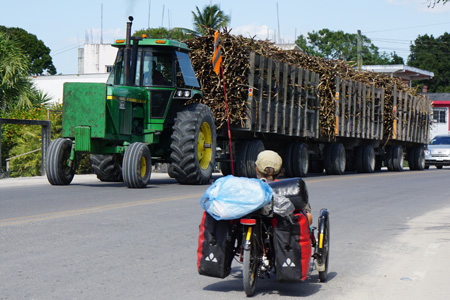 orange-walk1 orange-walk1