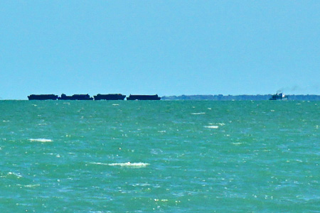 orange-walk4 orange-walk4