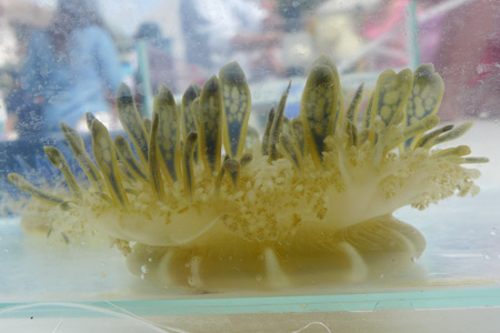 puertomorelos3 puertomorelos3